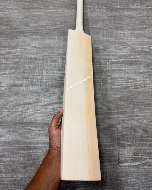 English Willow Cricket Bat - Image 3