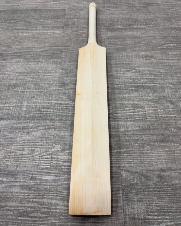 English Willow Cricket Bat
