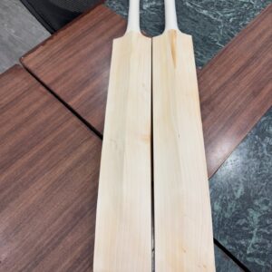 Kashmir Willow Cricket Bat