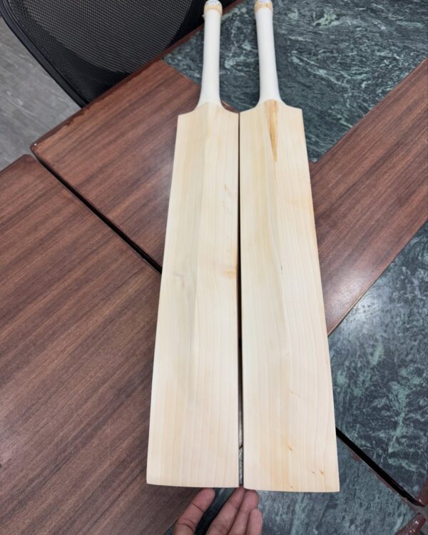 Kashmir Willow Cricket Bat