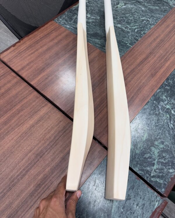 Kashmir Willow Cricket Bat - Image 2